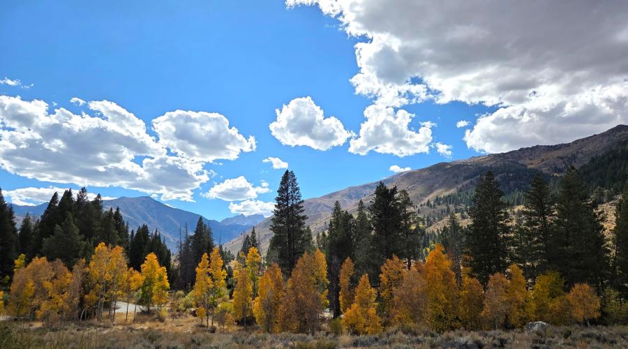 10.5.26 Twin Lakes, Bridgeport -  Melinda Guerrero, Mono County