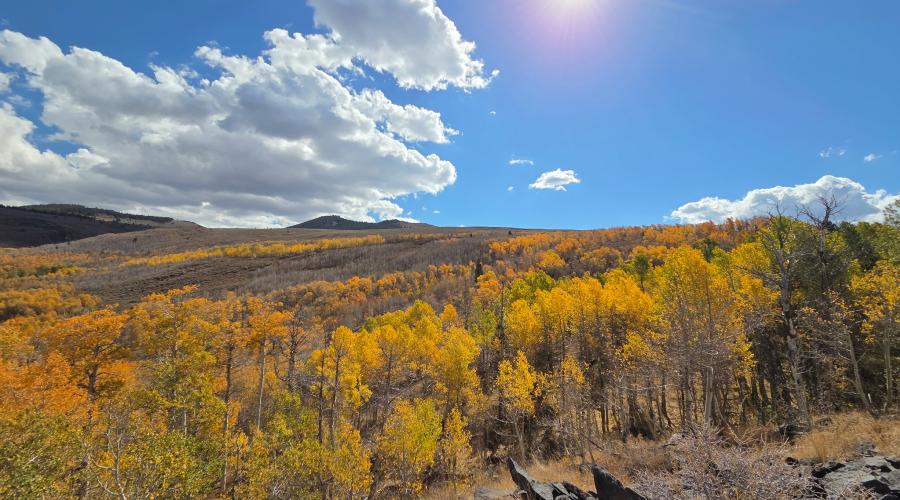 10.5.26 Lobdell -  Melinda Guerrero, Mono County