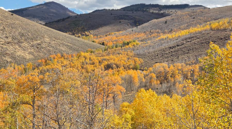 10.5.26 Lobdell -  Melinda Guerrero, Mono County