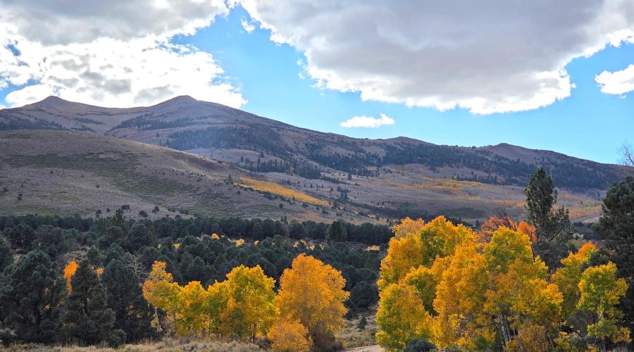 10.5.26 Summer Meadows Road -  Melinda Guerrero, Mono County
