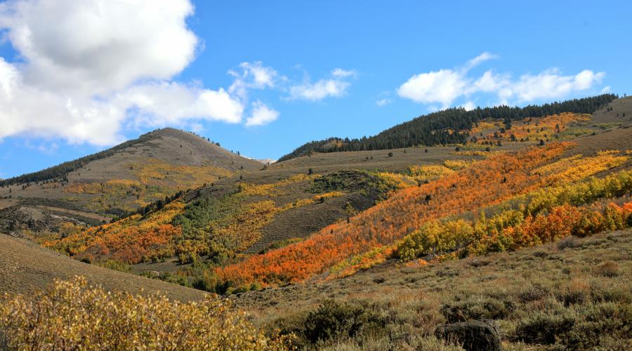 10.06.25 Lobdell Road - Amanda Carlson, Mono County Tourism