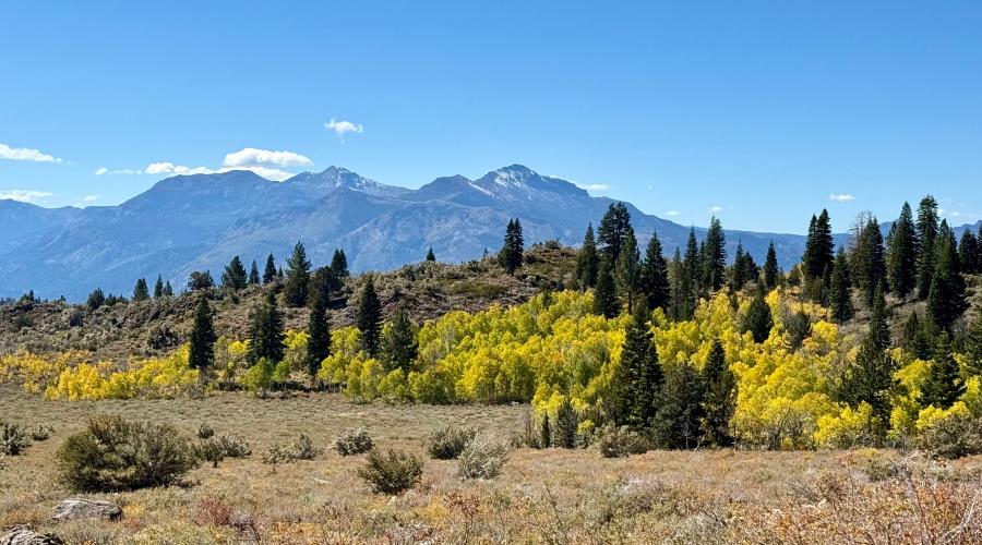 10.06.25 Monitor Pass - Amanda Carlson, Mono County Tourism