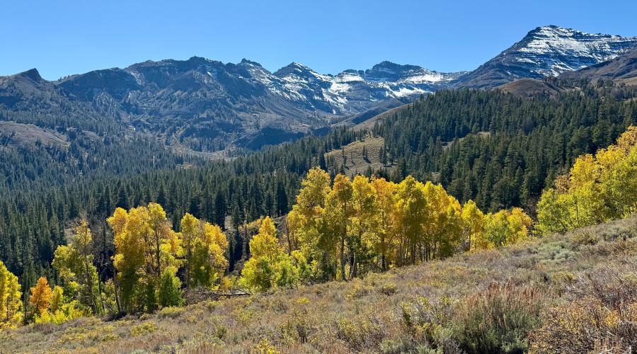 10.06.25 Sonora Pass - Amanda Carlson, Mono County Tourism