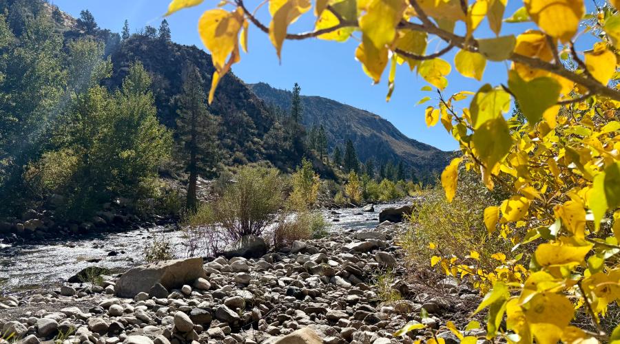 10.06.25 Walker River - Amanda Carlson, Mono County Tourism