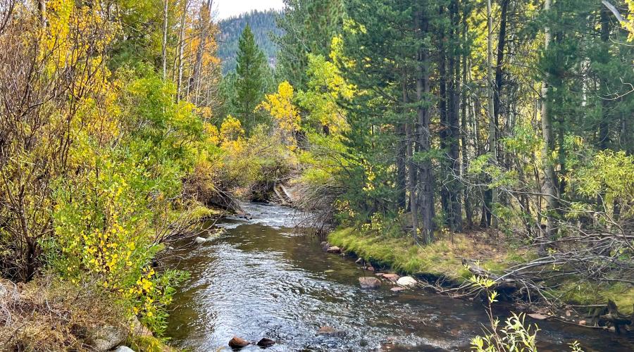10.10.24 Lee Vining Canyon by Amanda Carlson with Mono County Tourism