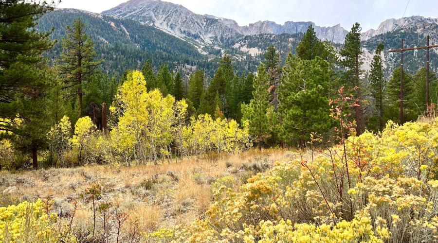 10.10.24 Lee Vining Canyon by Amanda Carlson with Mono County Tourism