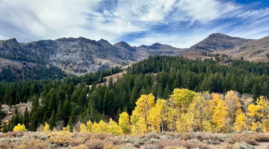 10.10.24 Sonora Pass by Amanda Carlson with Mono County Tourism