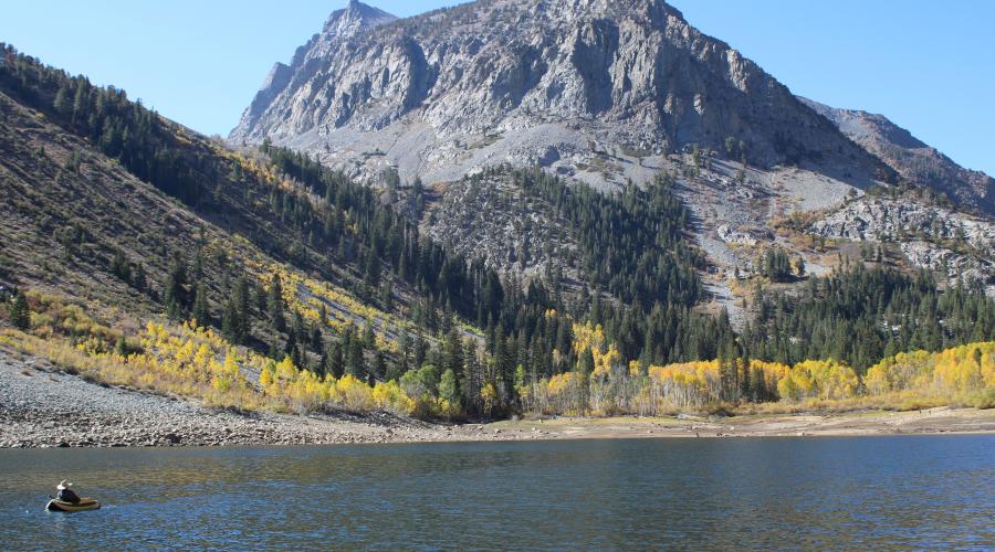 angler in a float tube on lundy lake with the fall colors and mountains as backdrop