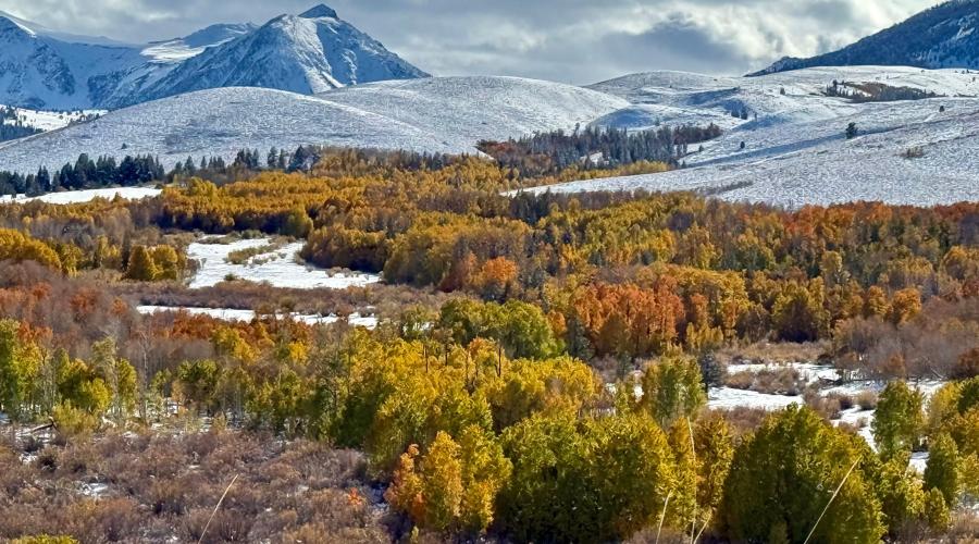 10.15.25 Conway Summit - Amanda Carlson, Mono County Tourism