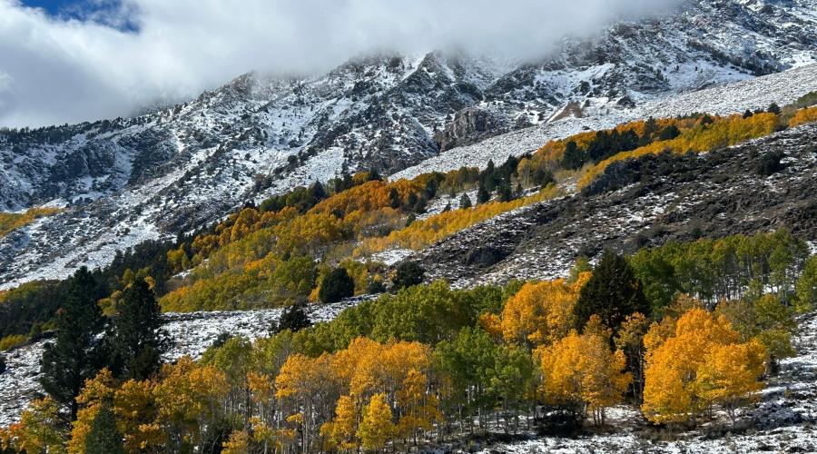 10.15.25 June Lake Loop - Liz Grans, Mono County Tourism