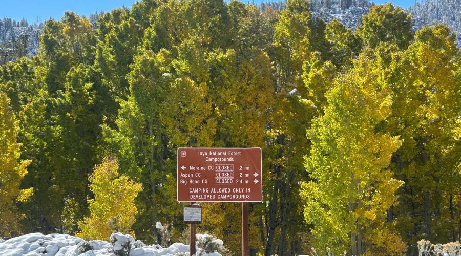 10.15.25 Lee Vining Canyon - Liz Grans, Mono County Tourism