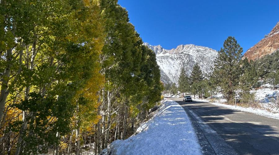 10.15.25 Lee Vining Canyon - Liz Grans, Mono County Tourism