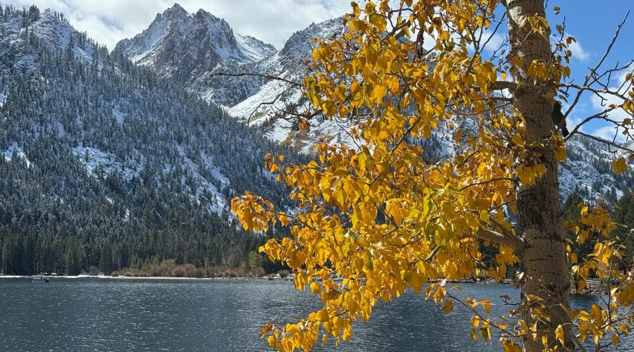 10.15.25 Twin Lakes, Bridgeport - Amanda Carlson, Mono County Tourism