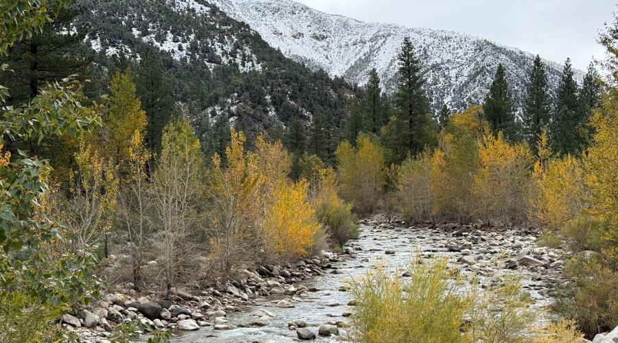 10.15.25 Walker River - Amanda Carlson, Mono County Tourism