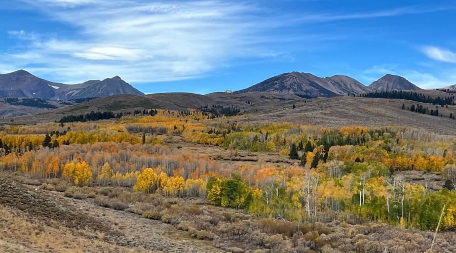 10.16.24 Conway Summit by Amanda Carlson with Mono County Tourism