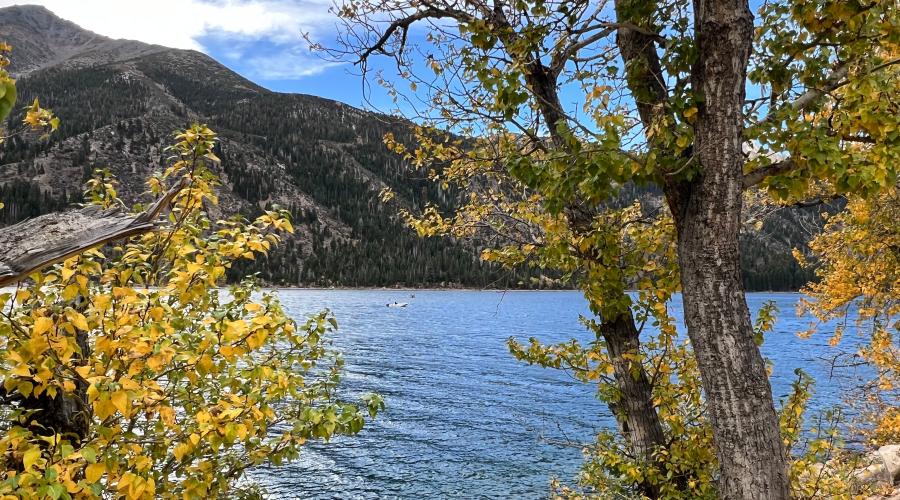 10.16.24 Twin Lakes, Bridgeport by Amanda Carlson with Mono County Tourism