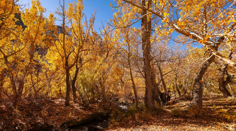 10.19.25 McGee - Dakota Snider Mono County Tourism