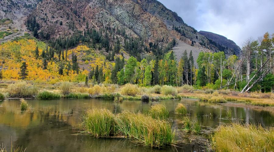10.01.25 Lundy Reservoir Sarah Vardaro, Mono County Tourism -4