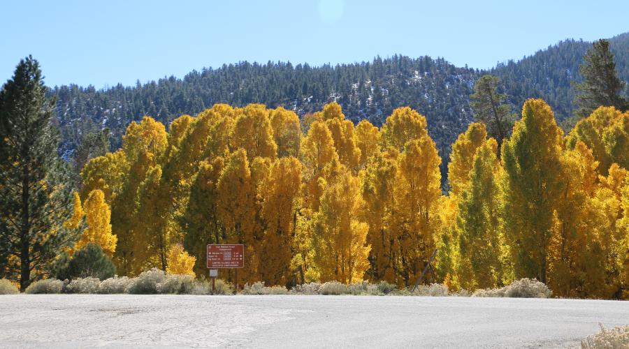10.20.25 Lee Vining Canyon - Emily Bryant, Mono County Tourism