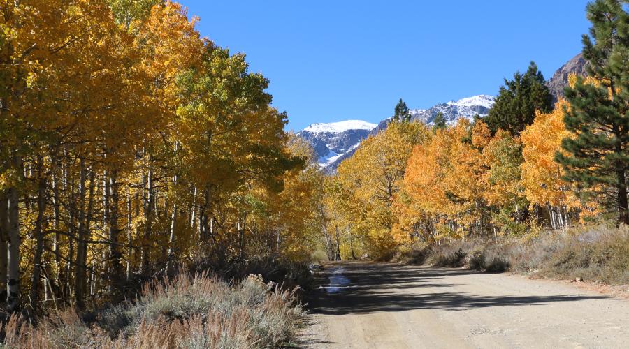 10.20.25 Lundy Canyon - Emily Bryant, Mono County Tourism