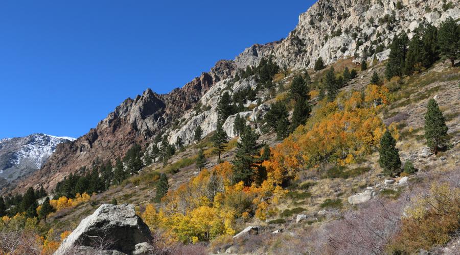 10.20.25 Lundy Canyon - Emily Bryant, Mono County Tourism