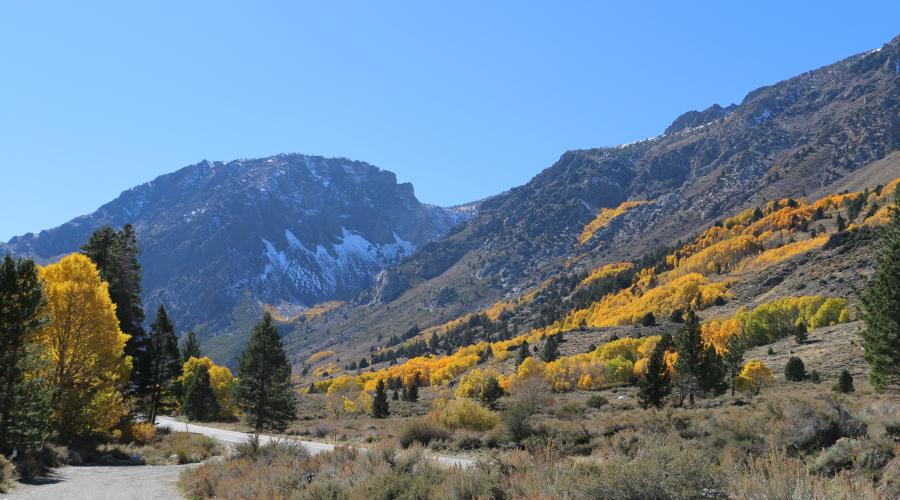 10.20.25 Silver Lake - Emily Bryant, Mono County Tourism