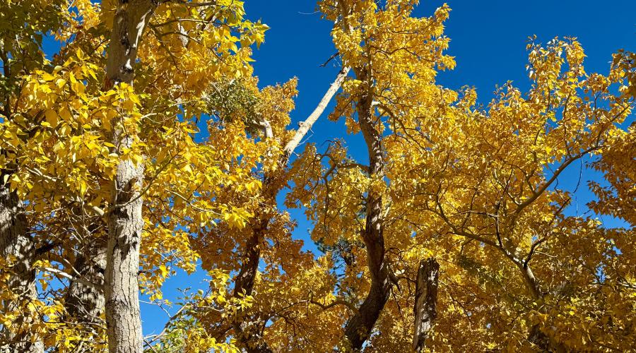 10.21.25 Convict Lake - Amanda Carlson, Mono County Tourism