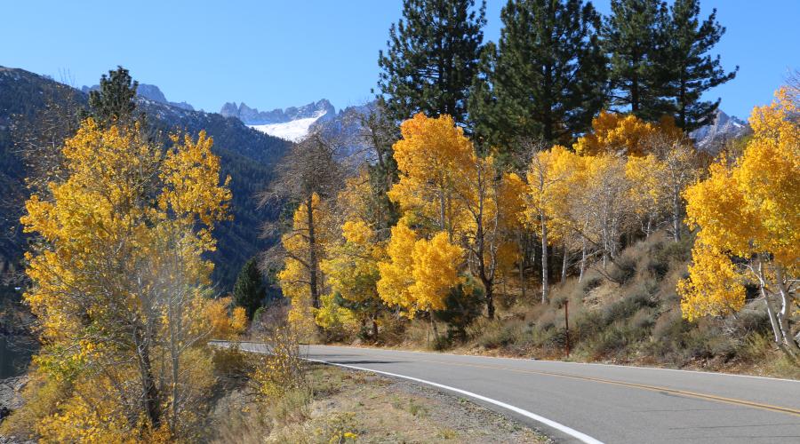 10.27.25 Lower Twin Lakes Bridgeport - Emily Bryant, Mono County Tourism