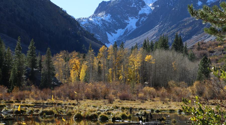 10.27.25 Lundy Canyon - Emily Bryant, Mono County Tourism