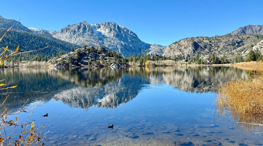 10.28.25 Gull Lake - Amanda Carlson, Mono County Tourism