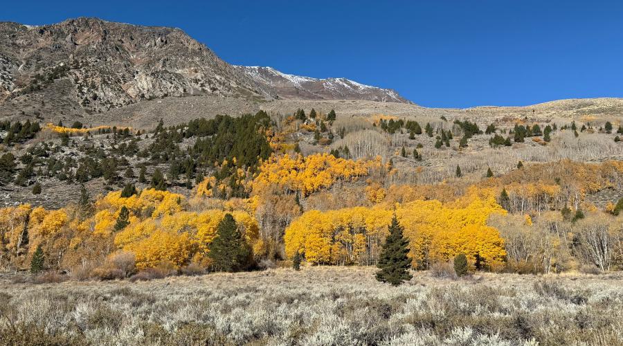 10.28.25 June Lake Loop - Amanda Carlson, Mono County Tourism