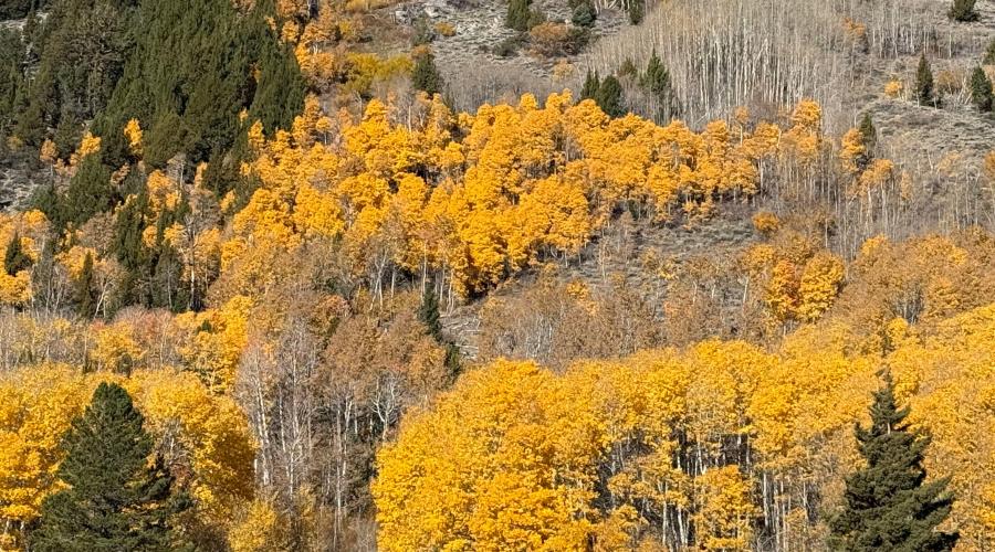 10.28.25 June Lake Loop - Amanda Carlson, Mono County Tourism