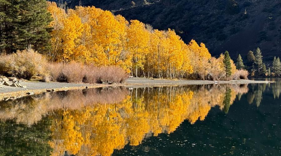 fall magc ing   秋の雪景色 Fall Color Photo Galleries | Visit Mono County