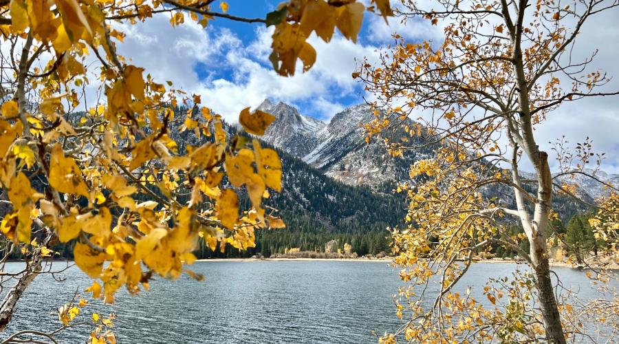 10.29.24 Bridgeport Twin Lakes by Amanda Carlson with Mono County Tourism