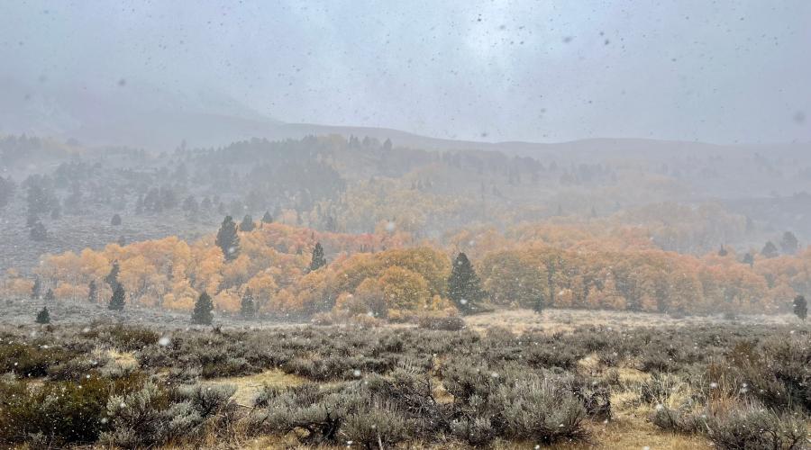 10.29.24 June Lake Loop by Amanda Carlson with Mono County Tourism