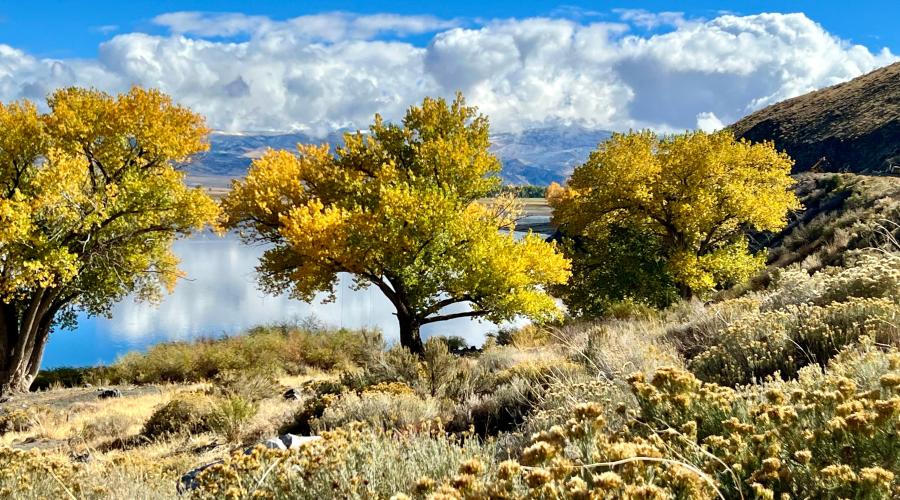 10.29.24 Topaz Lake by Amanda Carlson with Mono County Tourism