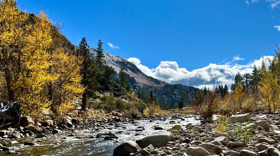 10.29.24 Walker River by Amanda Carlson with Mono County Tourism