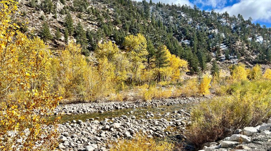 10.29.24 Walker River by Amanda Carlson with Mono County Tourism