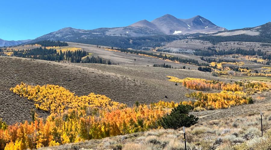 10.3.24 Dunderberg by Amanda Carlson with Mono County Tourism