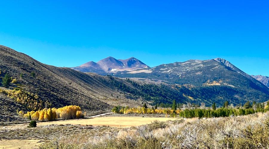 10.3.24 Green Creek by Amanda Carlson with Mono County Tourism