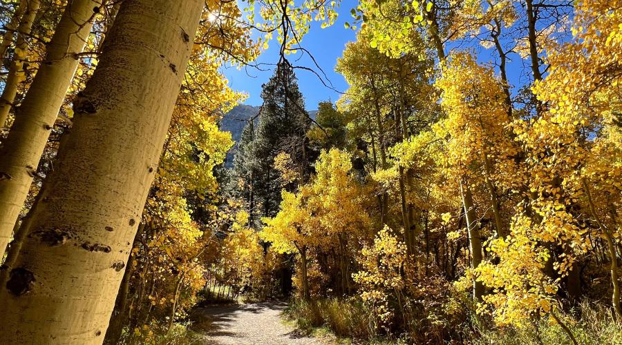 10.3.24 Green Creek by Amanda Carlson with Mono County Tourism