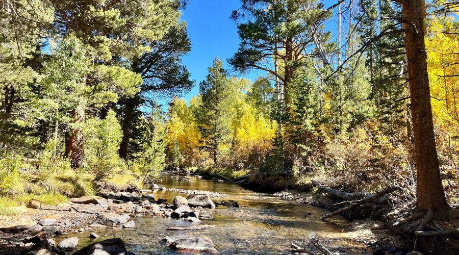 10.3.24 Green Creek by Amanda Carlson with Mono County Tourism