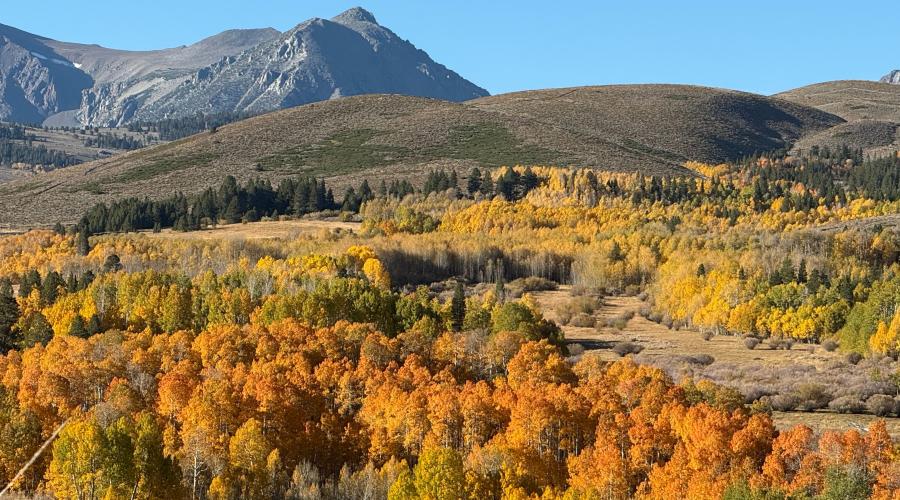 10.5.26 Conway Summit - Amanda Carlson, Mono County Tourism