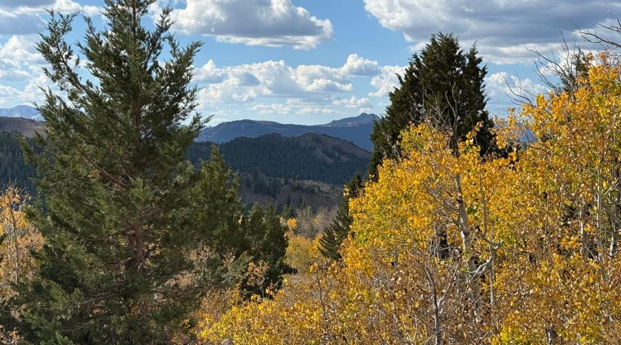 10.5.26 Monitor Pass - Amanda Carlson, Mono County Tourism