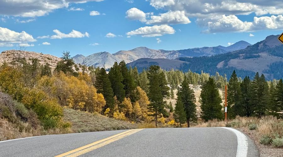 10.5.26 Sonora Pass - Amanda Carlson, Mono County Tourism