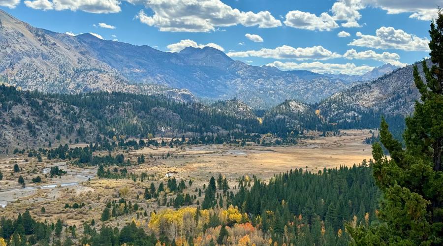10.5.26 Sonora Pass - Amanda Carlson, Mono County Tourism