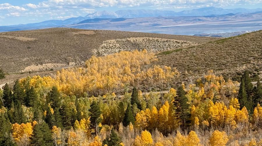 10.5.26 Virginia Lakes - Amanda Carlson, Mono County Tourism