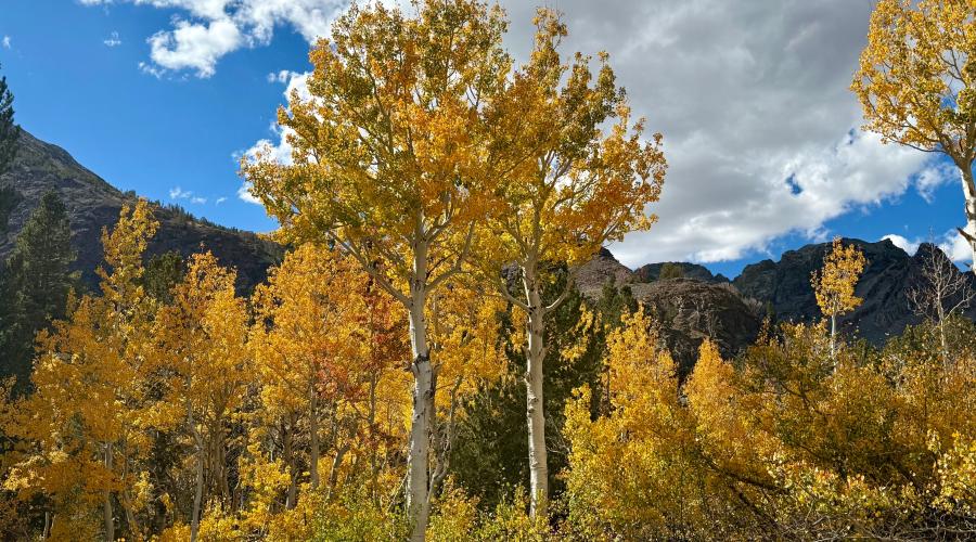 10.5.26 Virginia Lakes - Amanda Carlson, Mono County Tourism