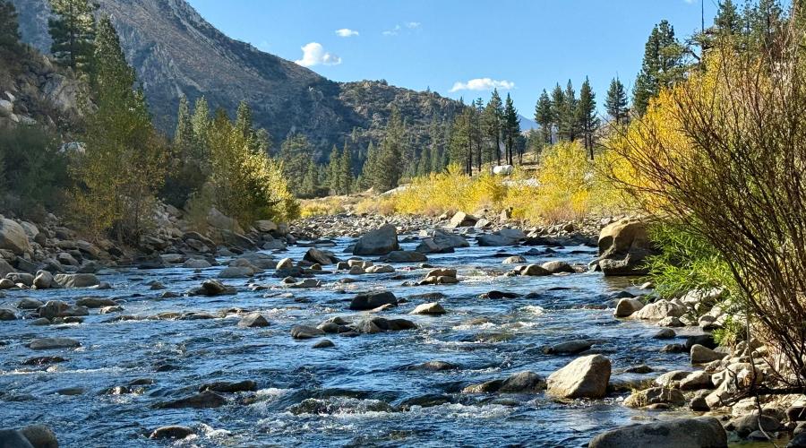 10.5.26 Walker River - Amanda Carlson, Mono County Tourism