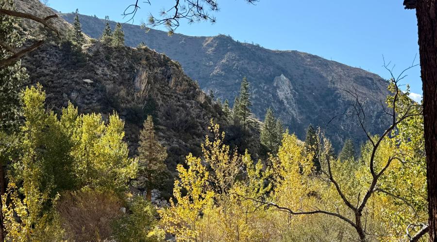 10.5.26 Walker River - Amanda Carlson, Mono County Tourism